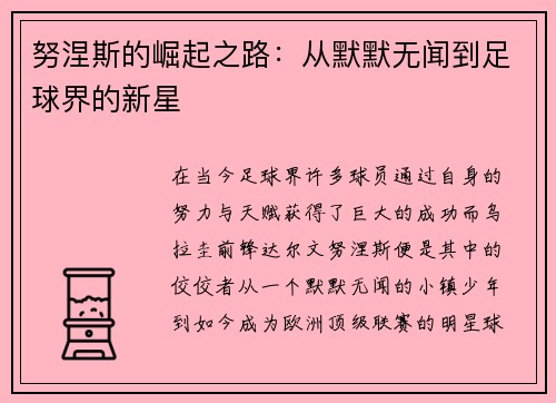 努涅斯的崛起之路：从默默无闻到足球界的新星